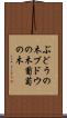 ぶどうの木 Scroll