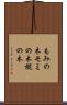 もみの木 Scroll