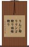 りんご狩り Scroll