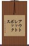 アウトレットボックス Scroll