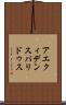 アエクィデンスパリドゥス Scroll