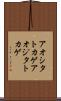 アオシタトカゲ Scroll