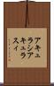 アキュラシ Scroll