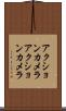 アクションカメラ Scroll