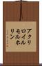 アクリロイルモルホリン Scroll