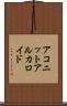 アコニットアルカロイド Scroll