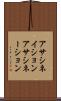 アサシネイション Scroll