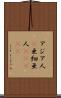 アジア人(P) Scroll