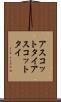 アスコットタイ Scroll