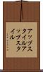 アップスタイル Scroll