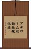 アテローム性動脈硬化症 Scroll