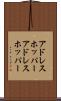 アドレスホッパー Scroll