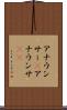 アナウンサー(P) Scroll