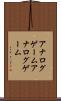 アナログゲーム Scroll