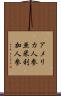 アメリカ人参 Scroll