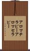 アロマテラピー Scroll