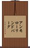 アンモローリンドバーグ Scroll