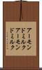 アーモンドミルク Scroll