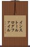 インストール・ログ・ファイル Scroll
