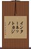 インターネットカジノ Scroll