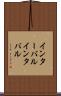 インターバル Scroll