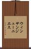 ウィンサンジューニエス Scroll