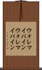 ウォレマイパイン Scroll