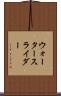 ウォータースライダー Scroll
