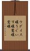 ウグイス嬢 Scroll