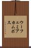 Eufemia Campos Scroll