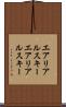 エアリアルスキー Scroll
