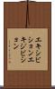 エキシビション Scroll