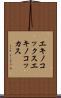 エキノコックス Scroll