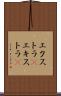 エクストラ(P) Scroll