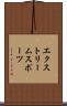 エクストリームスポーツ Scroll
