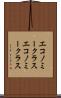 エコノミークラス Scroll