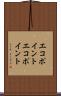 エコポイント Scroll