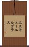 エスキューエルプラス Scroll