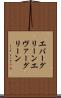エバーグリーン Scroll