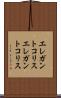 エレガントコリス Scroll
