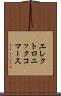 エレクトロニック・コマース Scroll