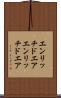 エンリッチドエア Scroll