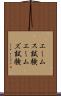 エームス試験 Scroll