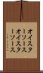 オイスターソース Scroll