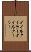オイルクーラー Scroll
