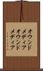 オウンドメディア Scroll