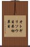 オトギリソウ目 Scroll