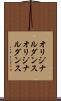 オリジナルダンス Scroll