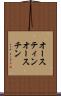 オースティン Scroll