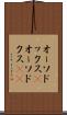 オーソドックス(P) Scroll